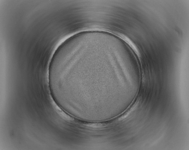 X0000112111388200908251202