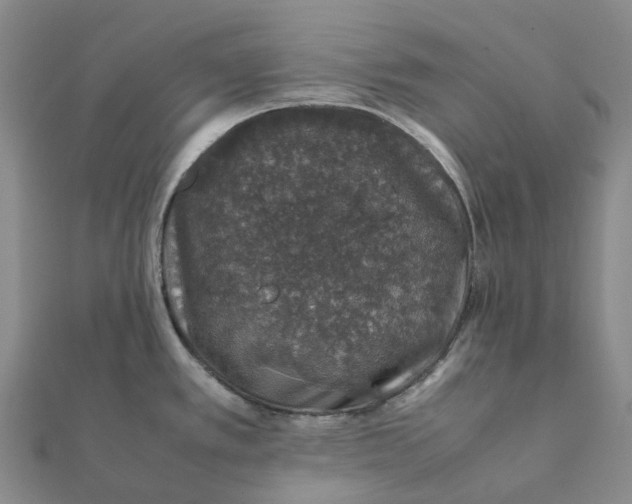 X0000112111389200908251202