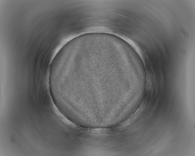 X0000112111390200908251202