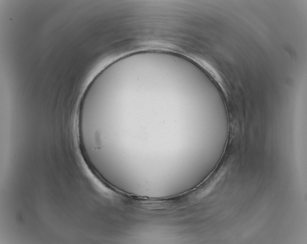 X0000112111391200908251202