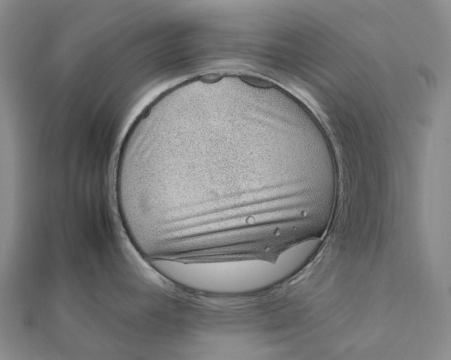 X0000112111392200908251202