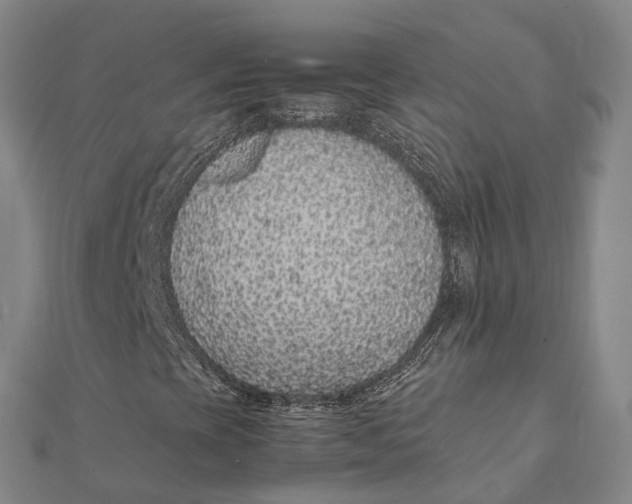 X0000112111393200908251201