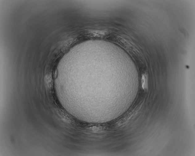 X0000112111395200908251201