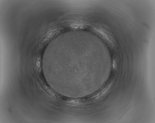 X0000112111396200908251201