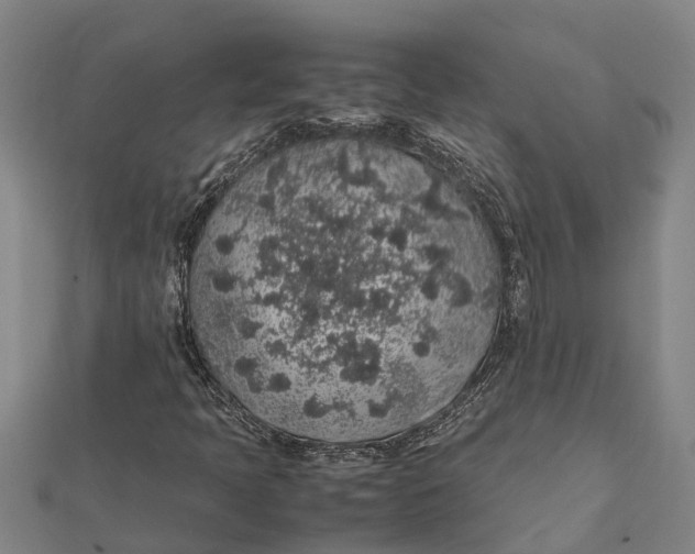 X0000112111397200908251201