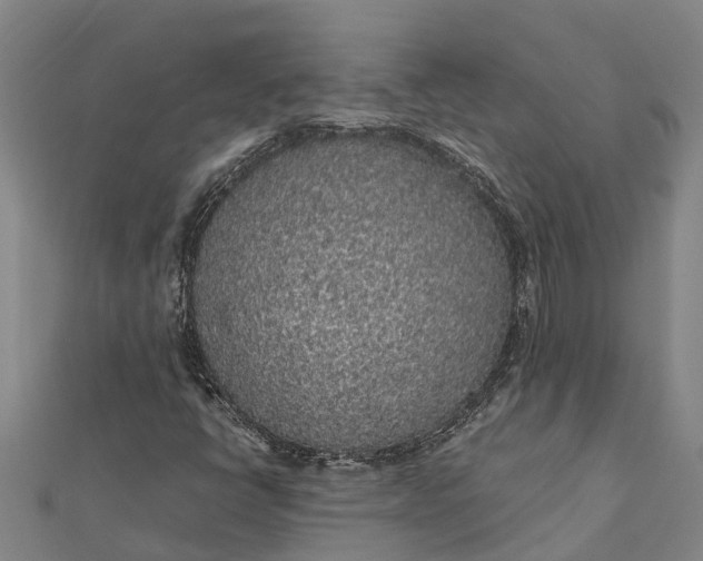 X0000112111398200908251201