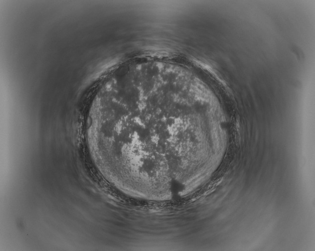 X0000112111399200908251201