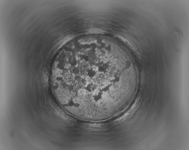 X0000112111401200908251201