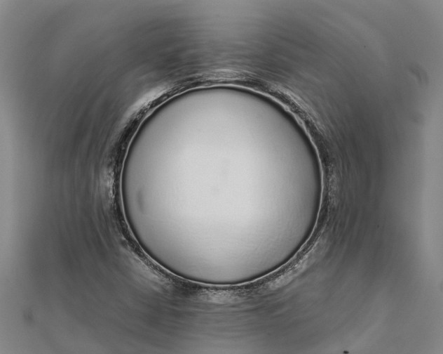 X0000112111402200908251201