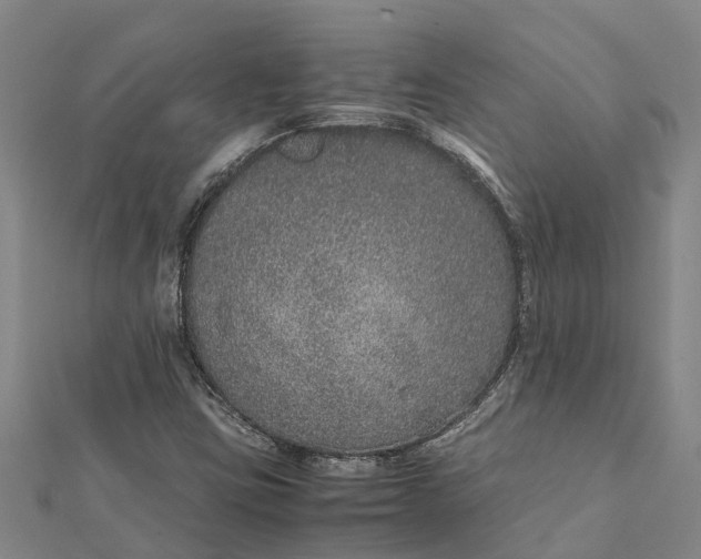 X0000112111403200908251201