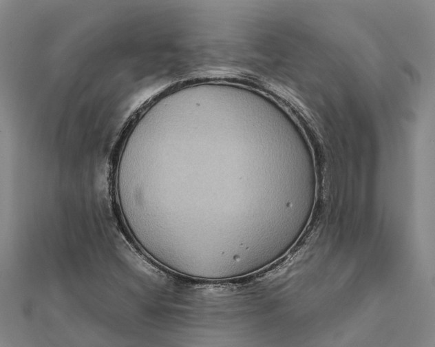 X0000112111404200908251201