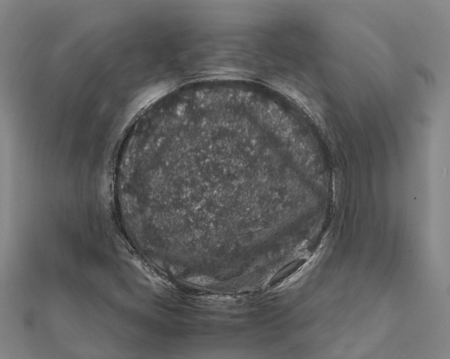 X0000112111405200908251201