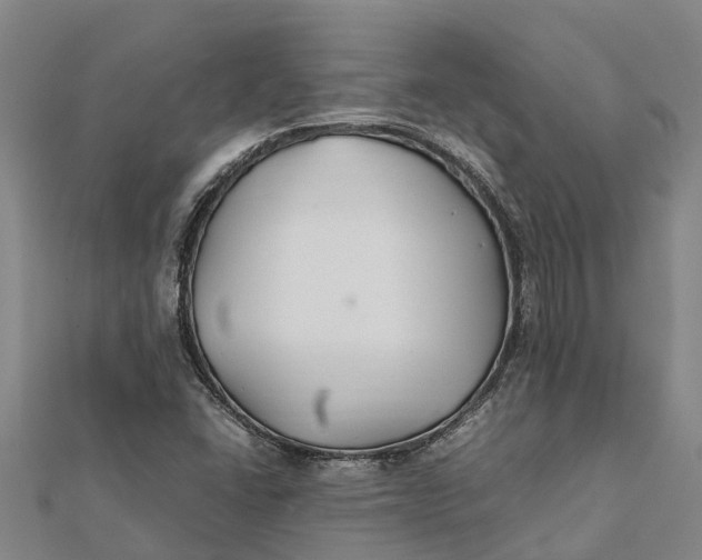 X0000112111406200908251201