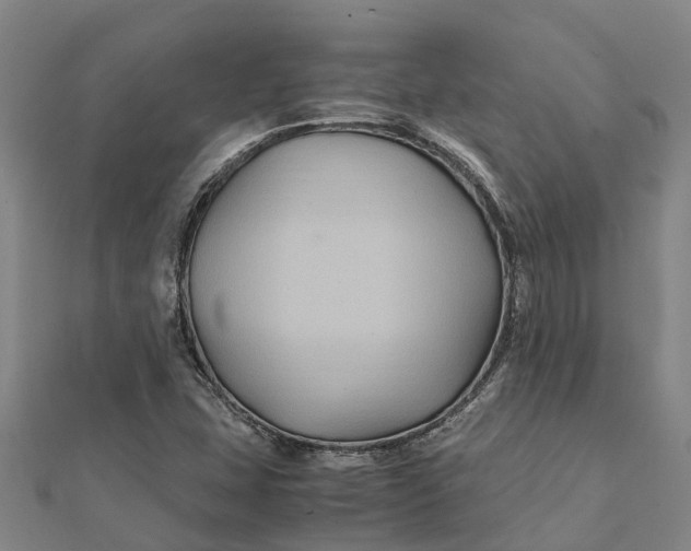 X0000112111407200908251201