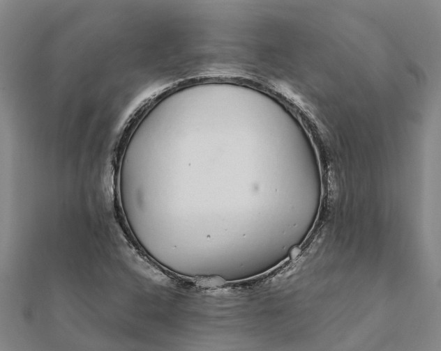 X0000112111408200908251201