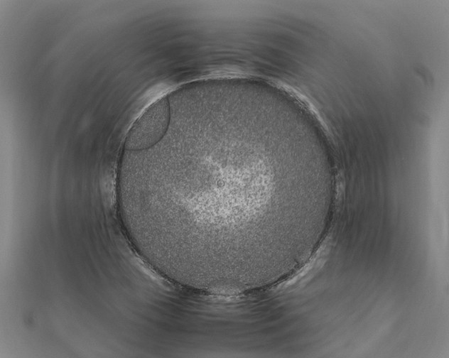 X0000112111409200908251201