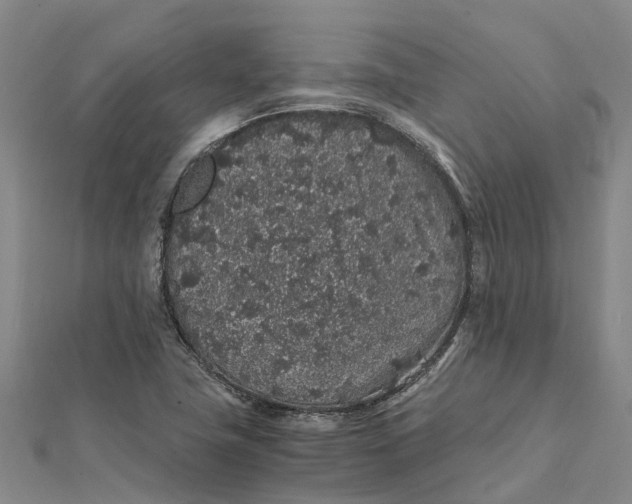 X0000112111411200908251201