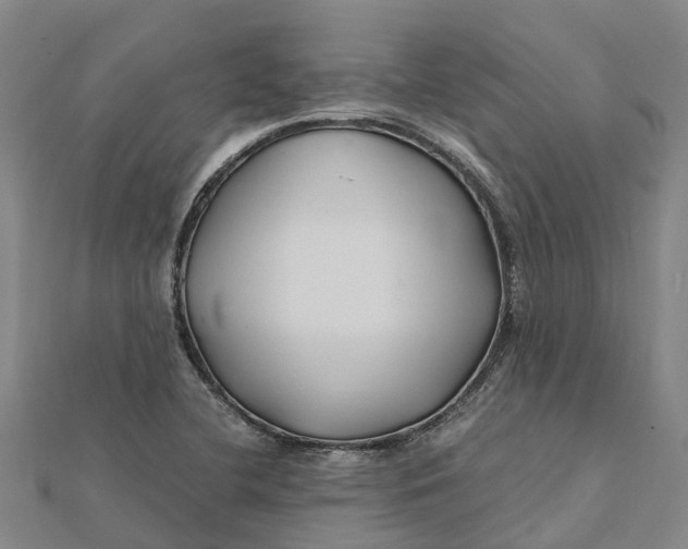 X0000112111412200908251201