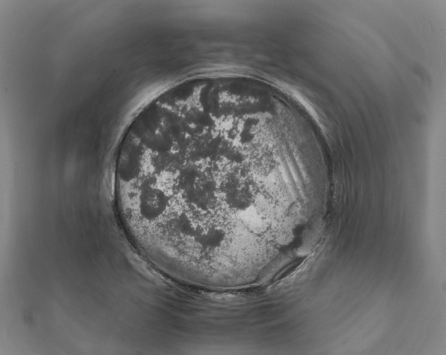 X0000112111413200908251201