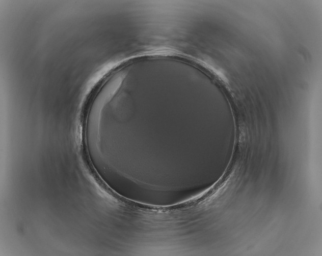 X0000112111414200908251201