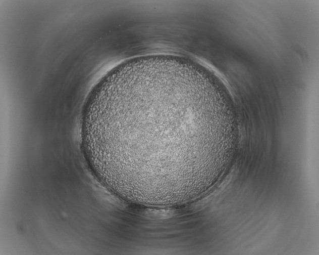 X0000112111415200908251201