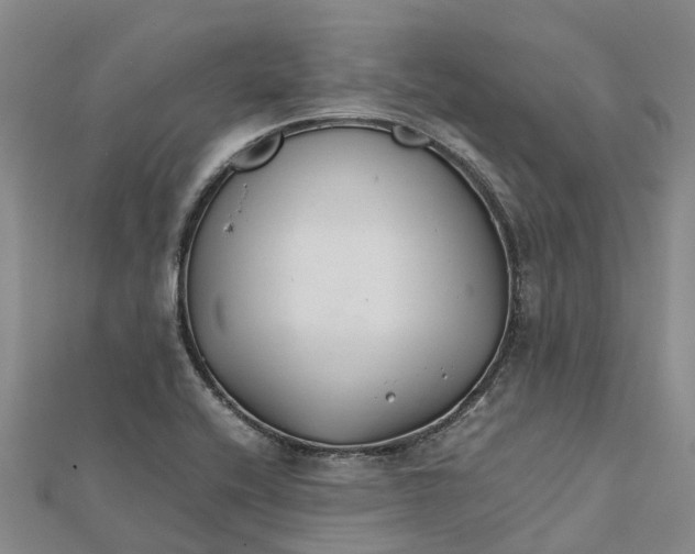 X0000112111416200908251201