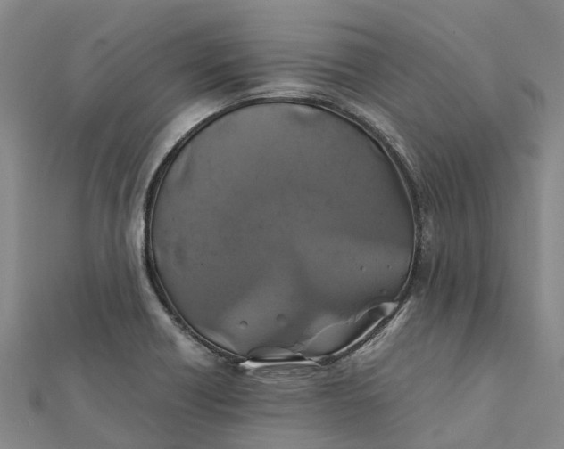 X0000112111418200908251201