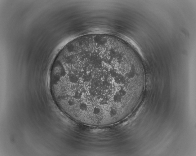 X0000112111419200908251201