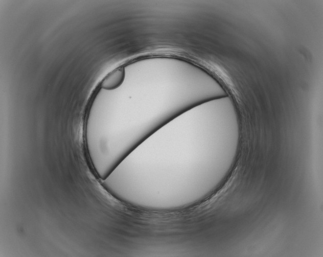 X0000112111420200908251201