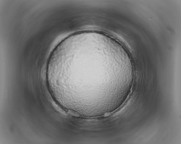 X0000112111421200908251201