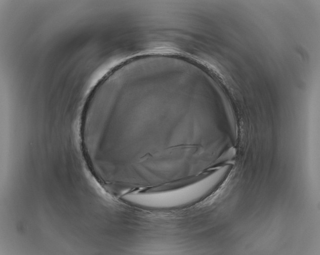 X0000112111422200908251201