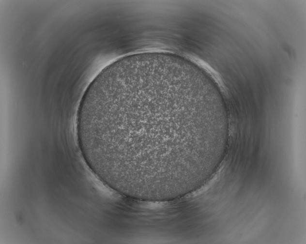 X0000112111423200908251201