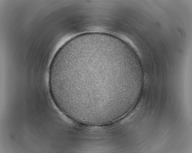 X0000112111424200908251201