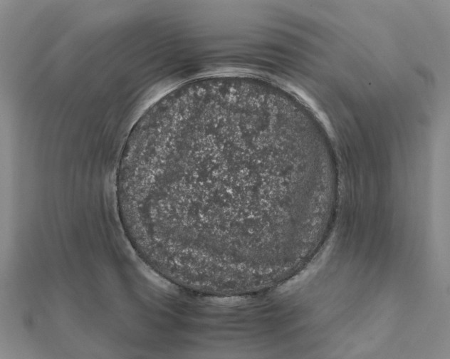 X0000112111425200908251201