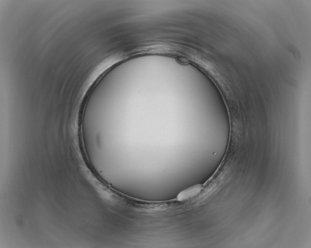 X0000112111426200908251201