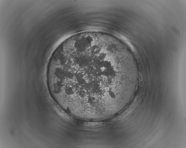 X0000112111427200908251201