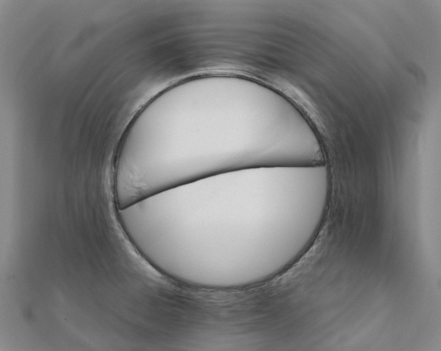 X0000112111428200908251201