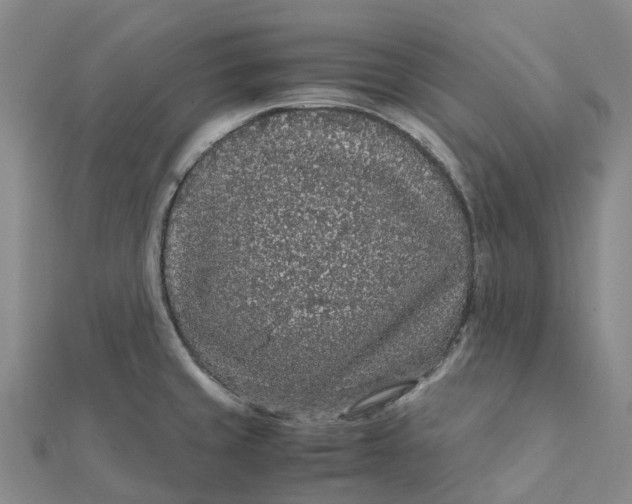 X0000112111429200908251201