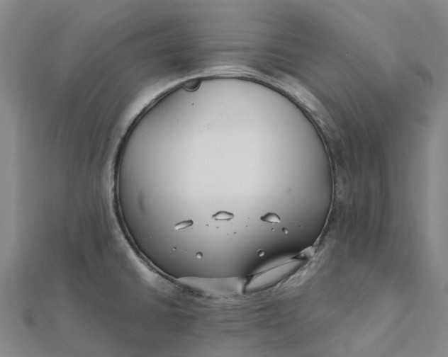 X0000112111430200908251201