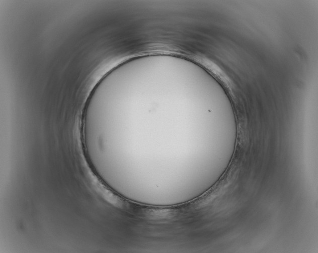 X0000112111431200908251201