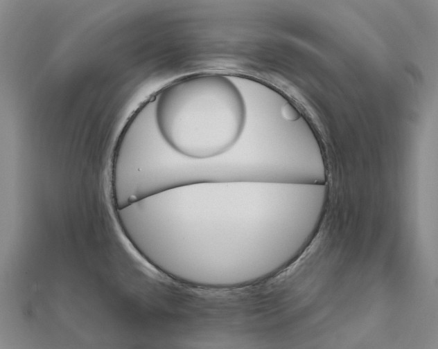 X0000112111432200908251202