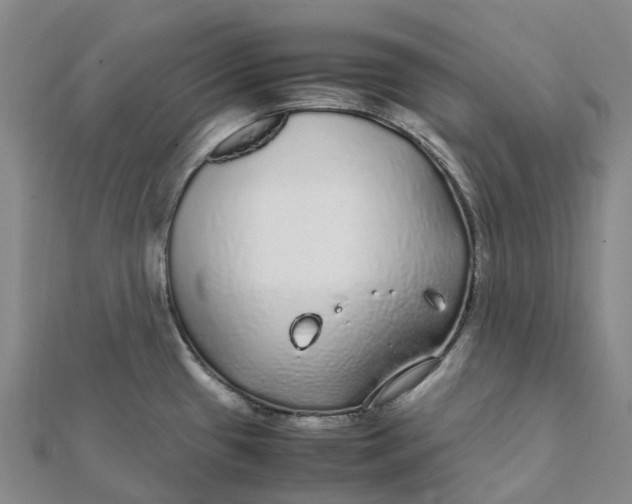 X0000112111433200908251202