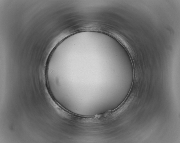 X0000112111434200908251202