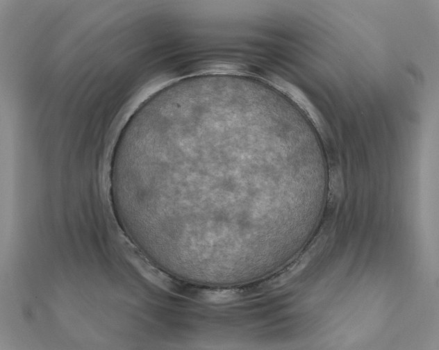 X0000112111435200908251202