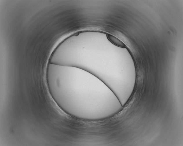 X0000112111436200908251202