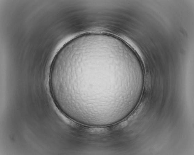 X0000112111437200908251202