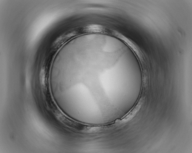 X0000112111438200908251202