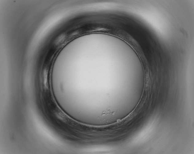 X0000112111439200908251202