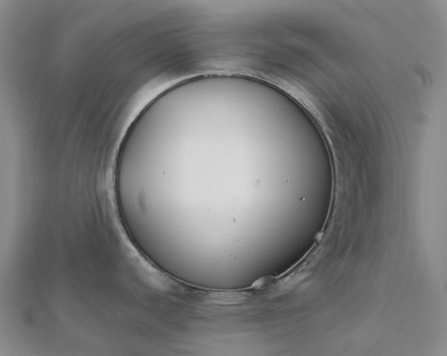 X0000112111440200908251202