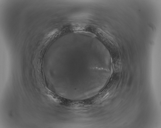 X0000112111441200908251201